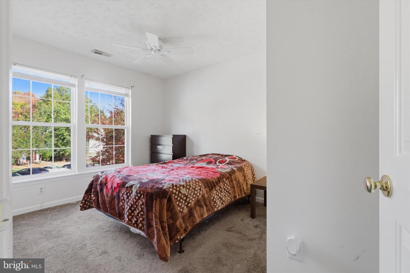5119 Spring Willow Court photo 19