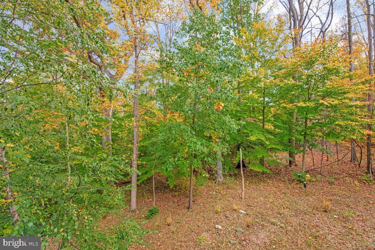 11 Clay Lodge Lane #204 photo 32
