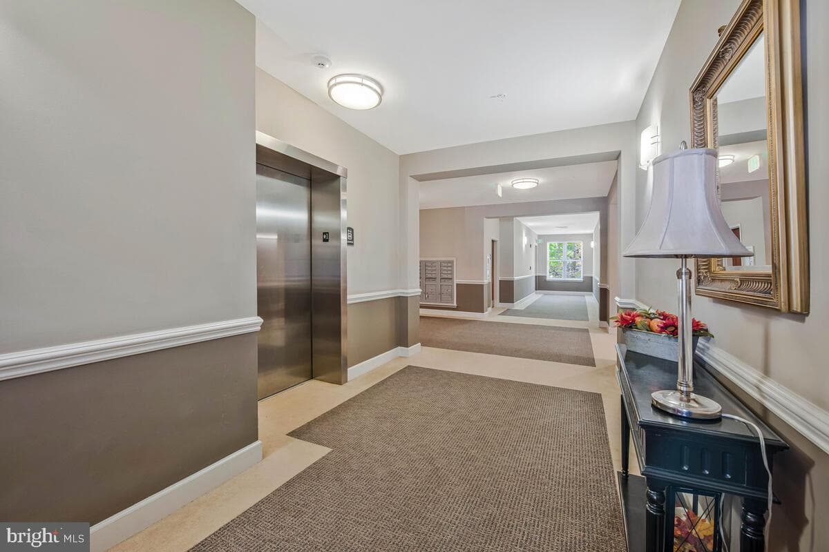 11 Clay Lodge Lane #204 photo 35