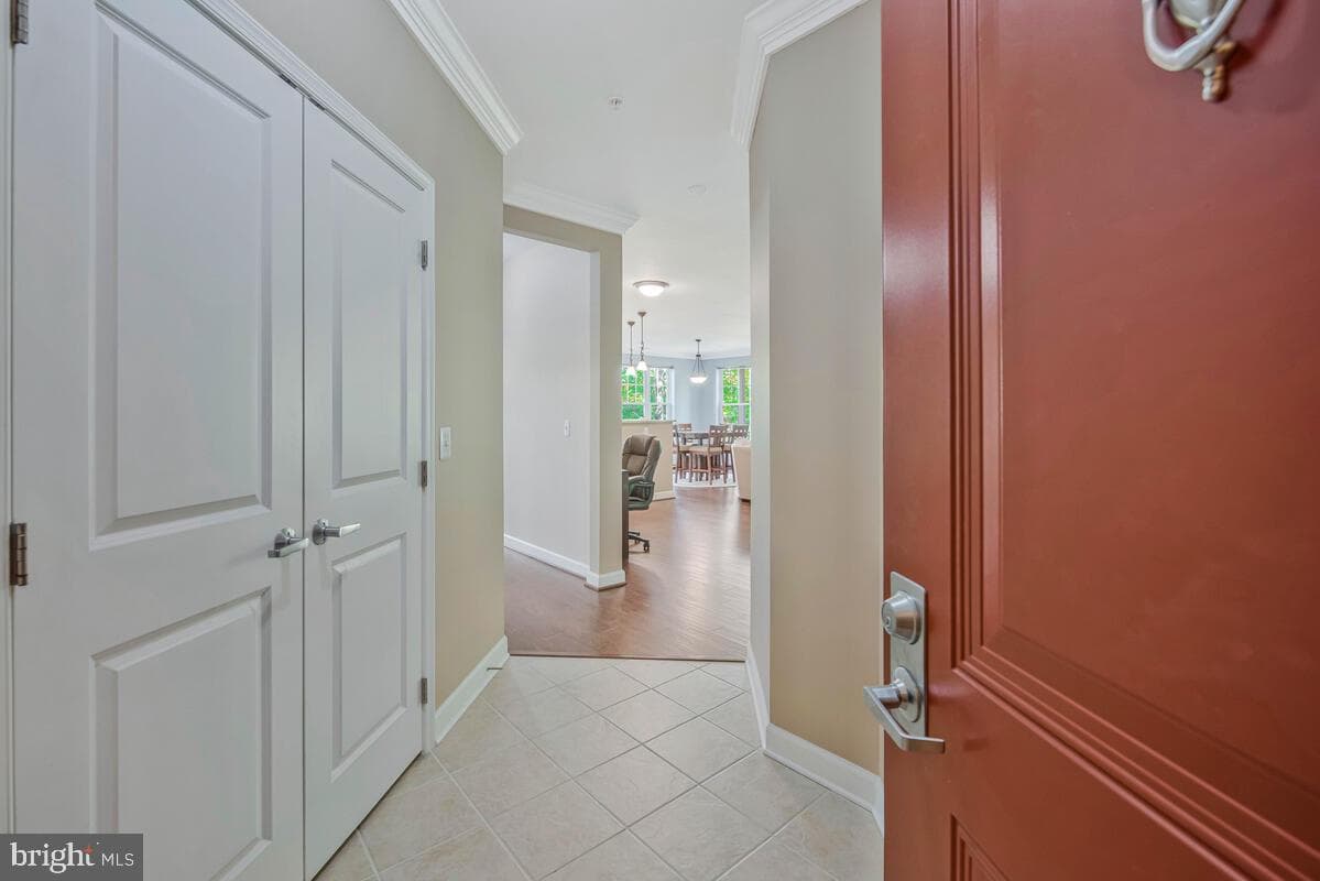 11 Clay Lodge Lane #204 photo 4