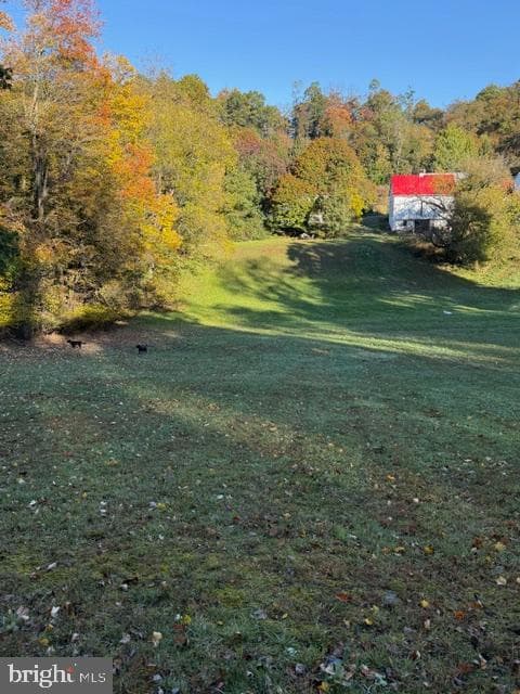 16535 Trenton Road photo 28