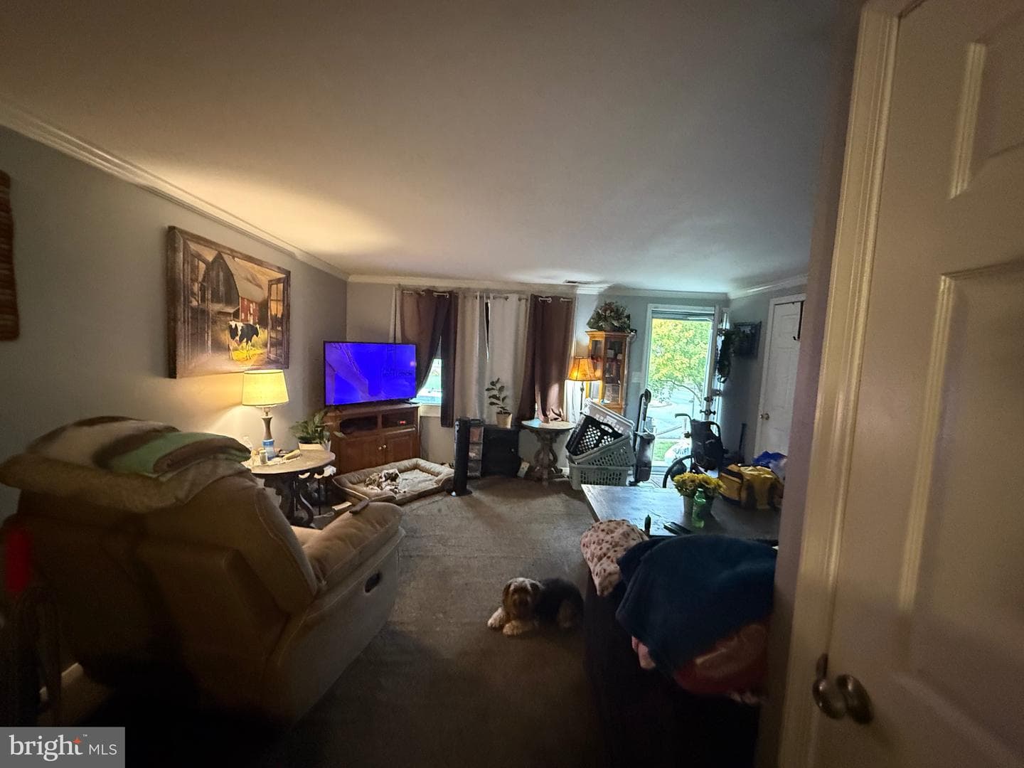 3103 Ryerson Circle photo 6
