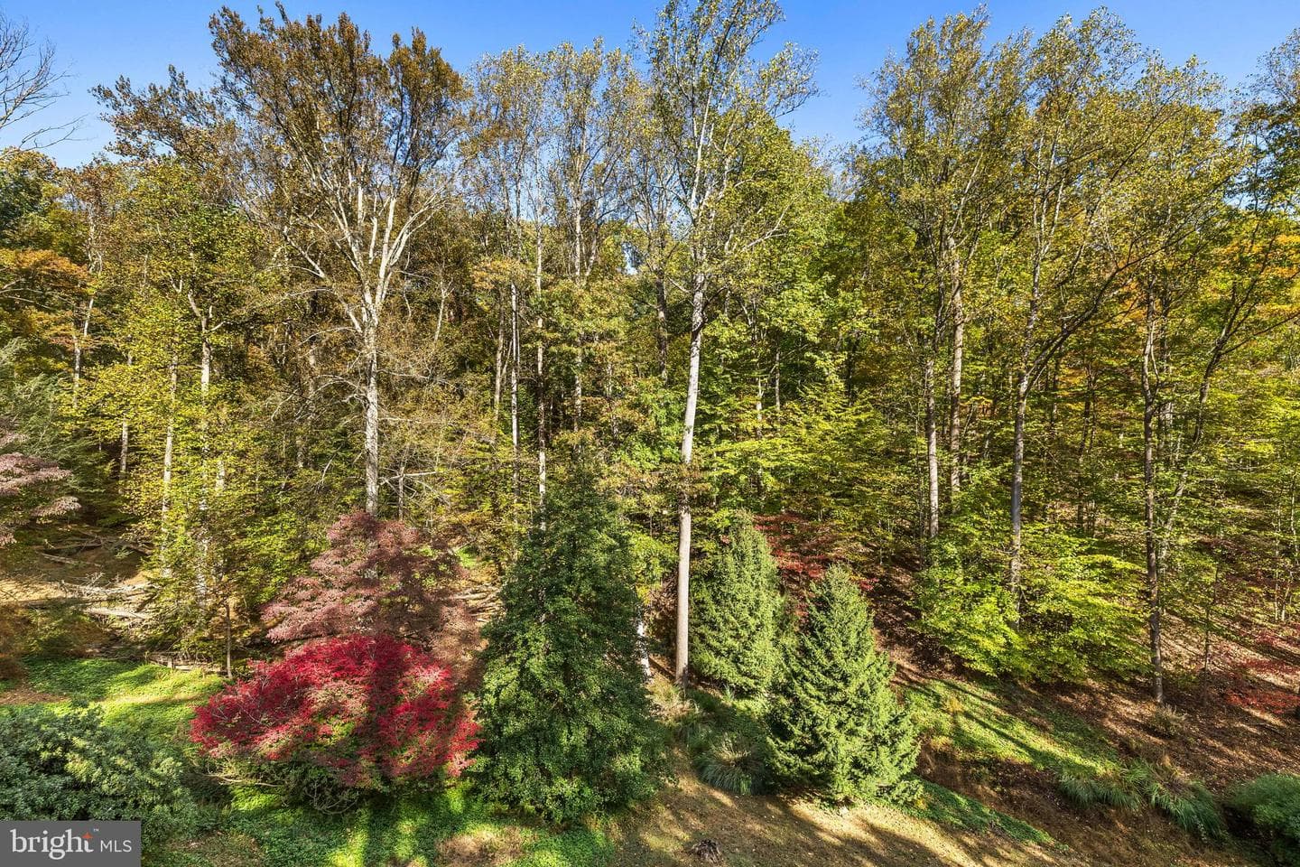 1106 High Country Road photo 24