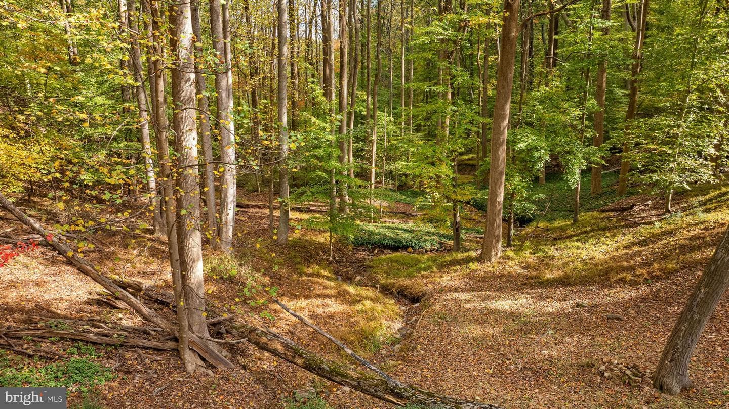 1106 High Country Road photo 5