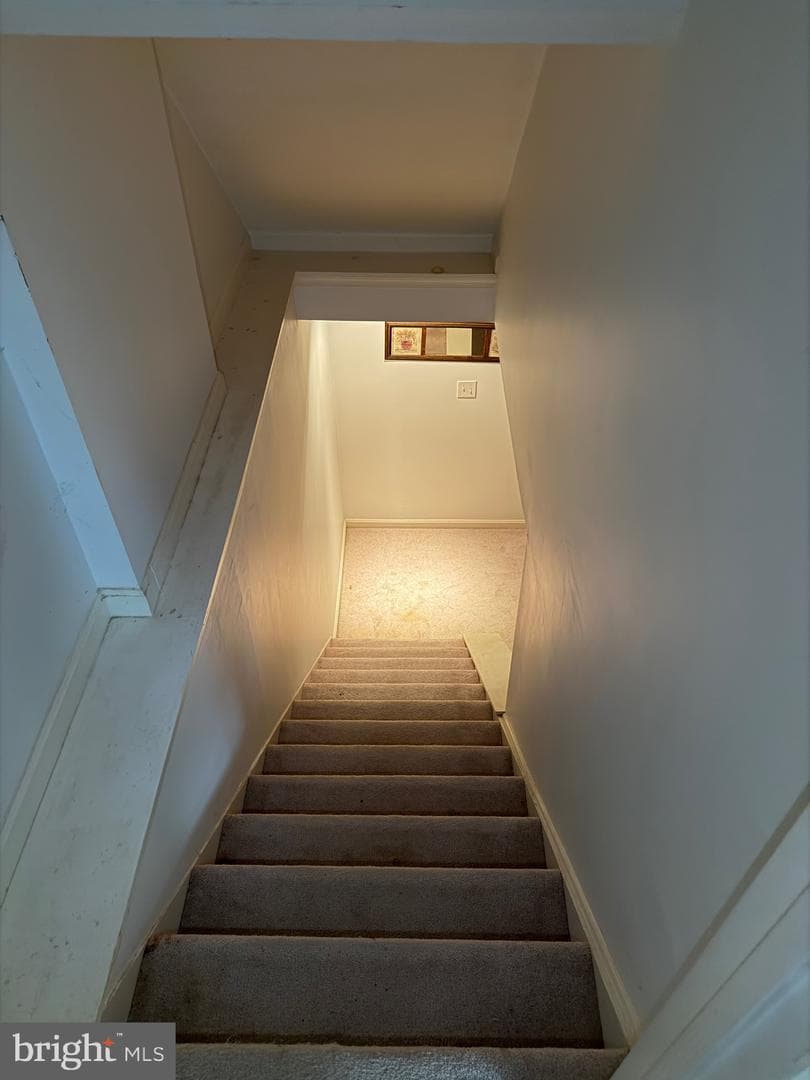 38 Constantine Drive photo 4