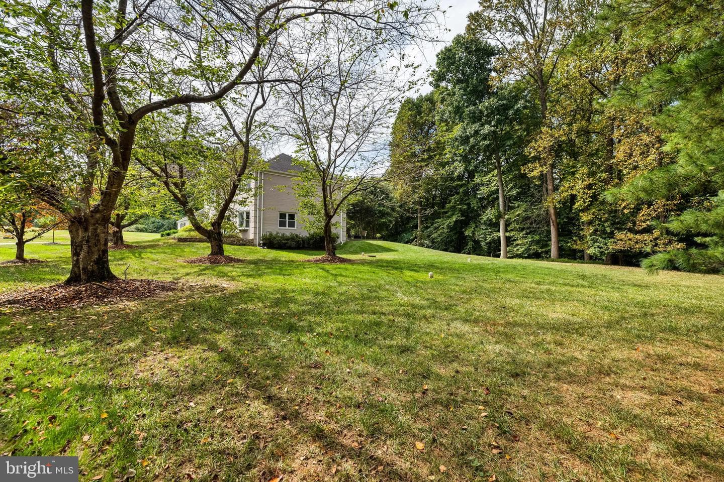 20 Highfield Court photo 51