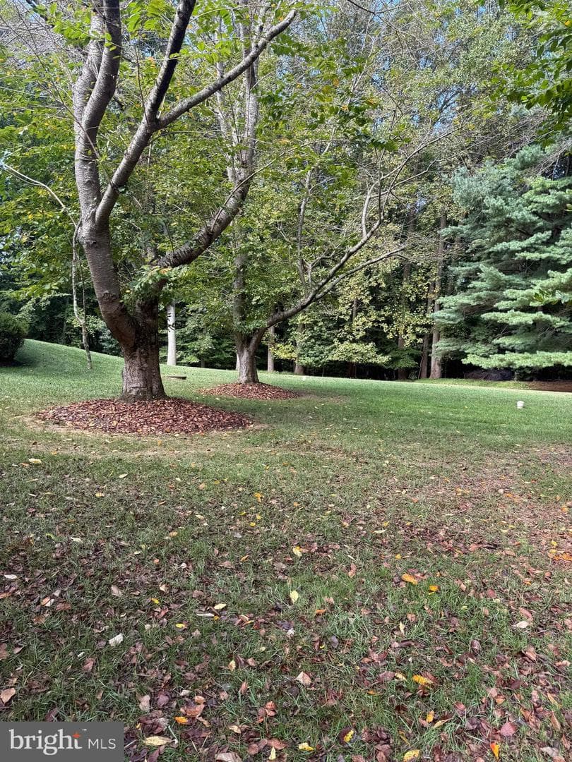 20 Highfield Court photo 7