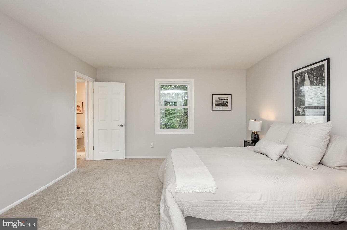 10509 Longbranch Road photo 19