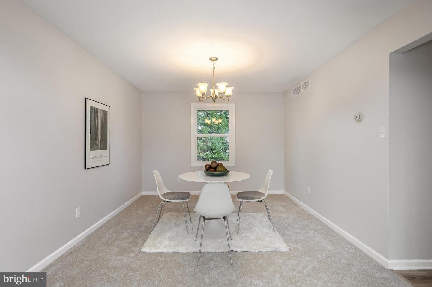 10509 Longbranch Road photo 8