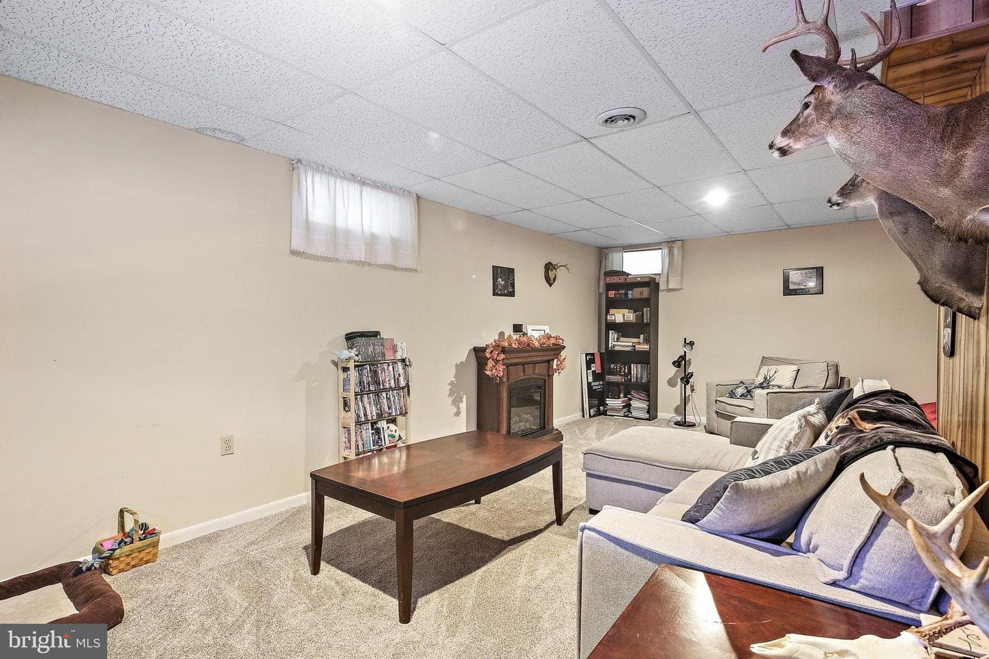 301 Kearney Drive photo 24