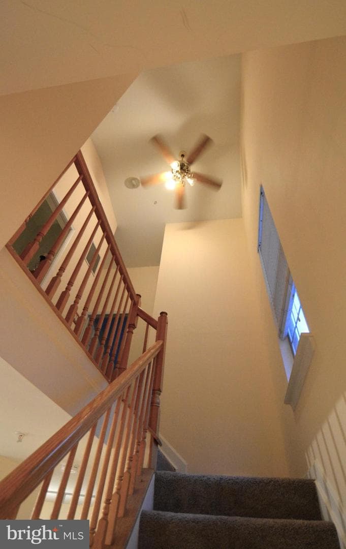 4701 Wainwright Circle photo 16
