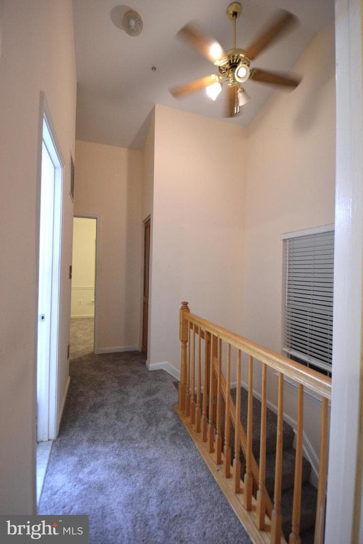4701 Wainwright Circle photo 17