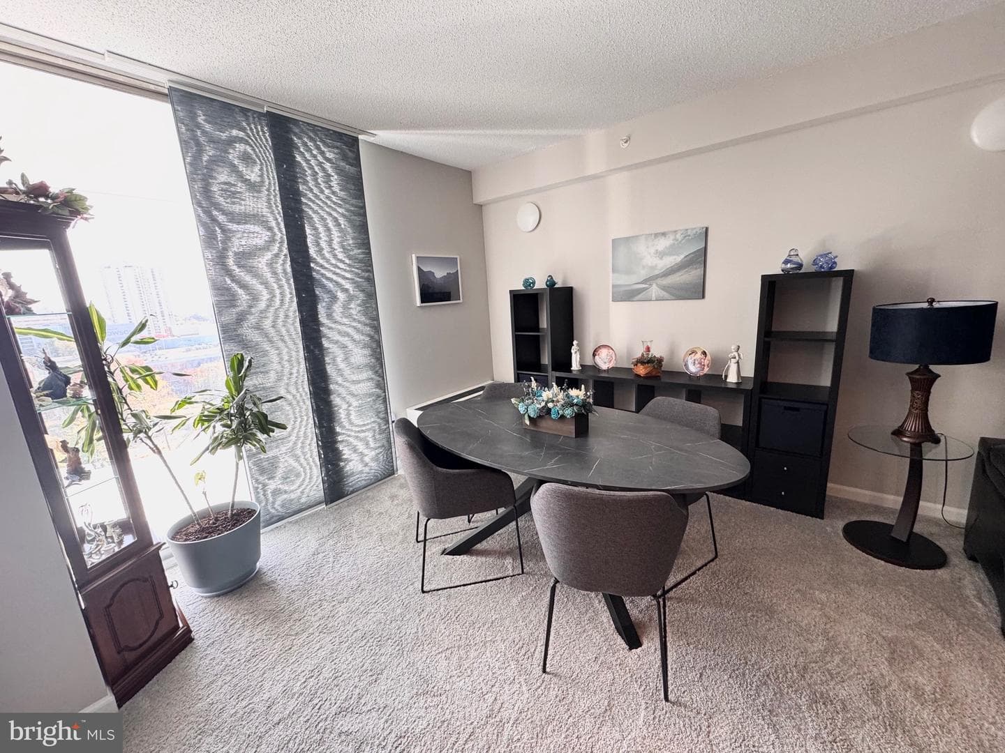 28 Allegheny Avenue #1308 photo 9