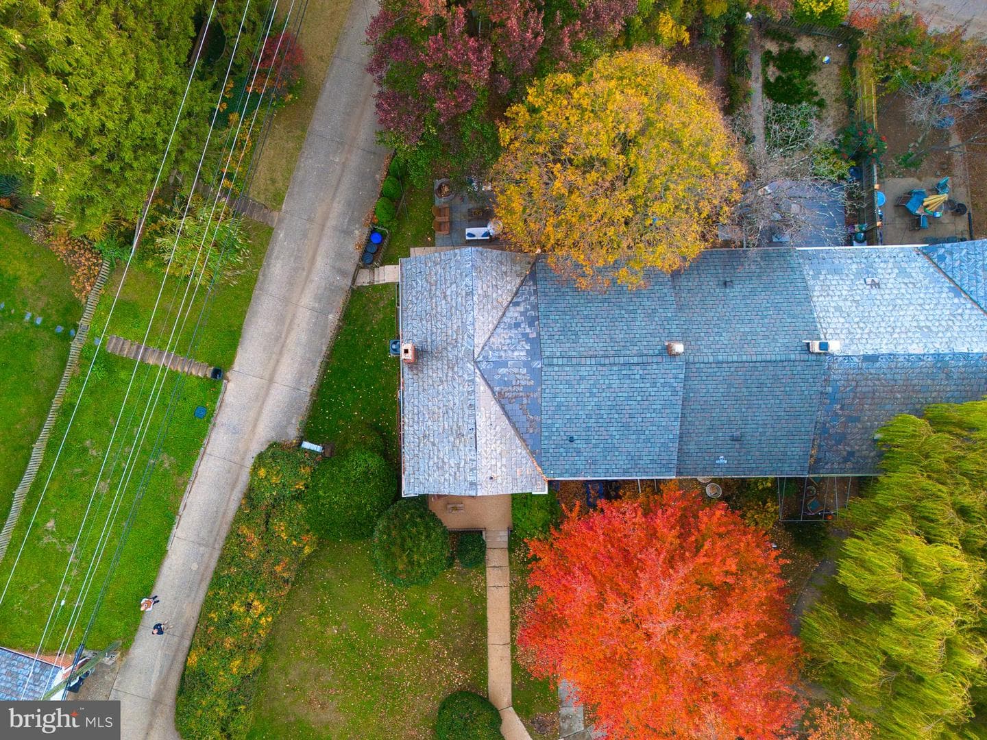 425 Rodgers Court photo 46