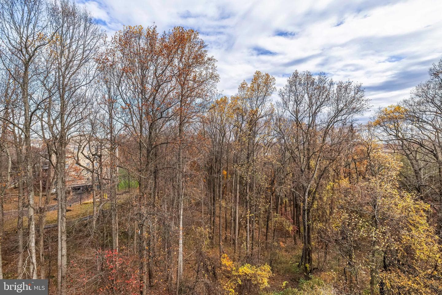 12300 Rosslare Ridge Road #503 photo 26