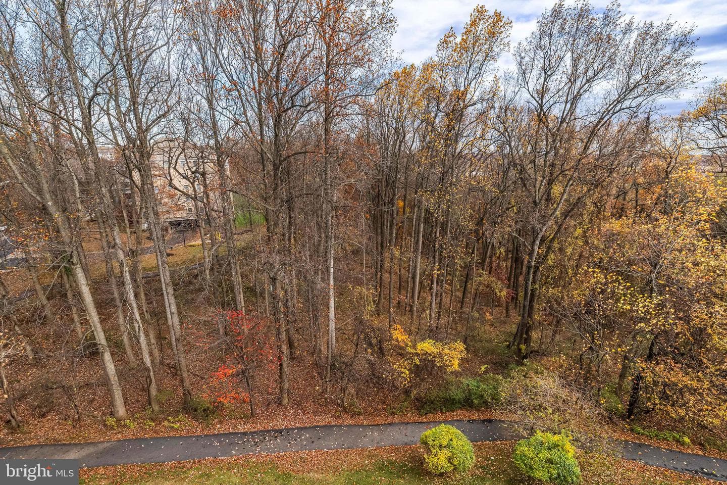 12300 Rosslare Ridge Road #503 photo 27
