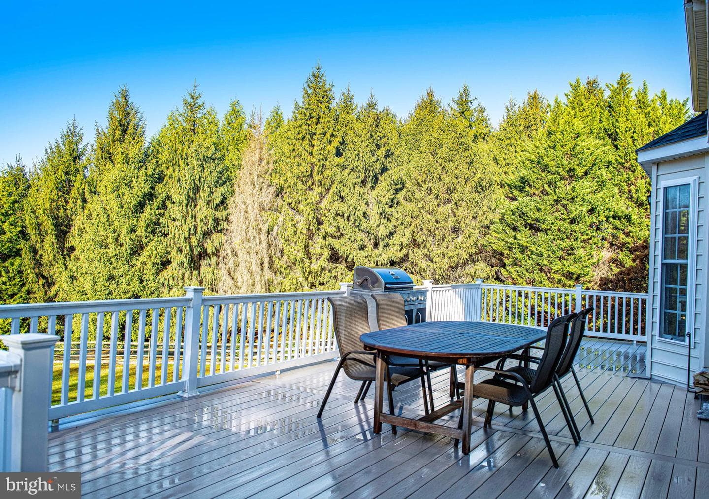 14516 Cuba Road photo 65