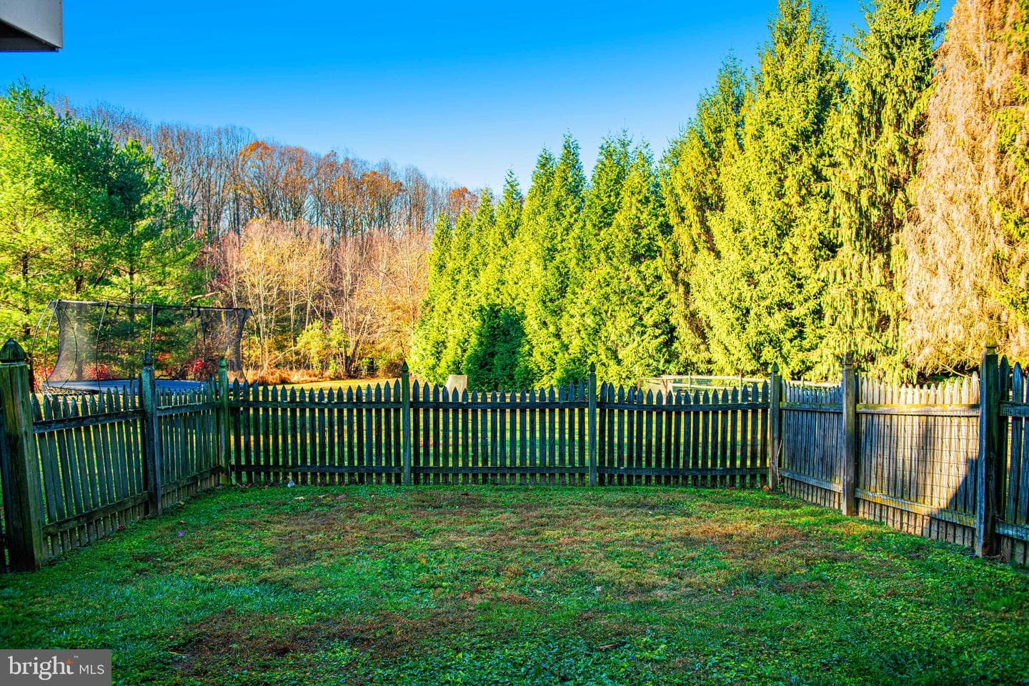 14516 Cuba Road photo 73