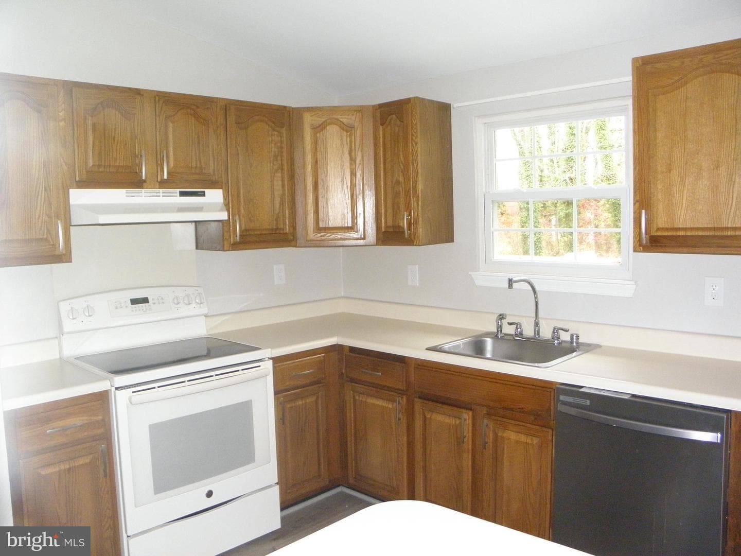 516 Brighton Place photo 10