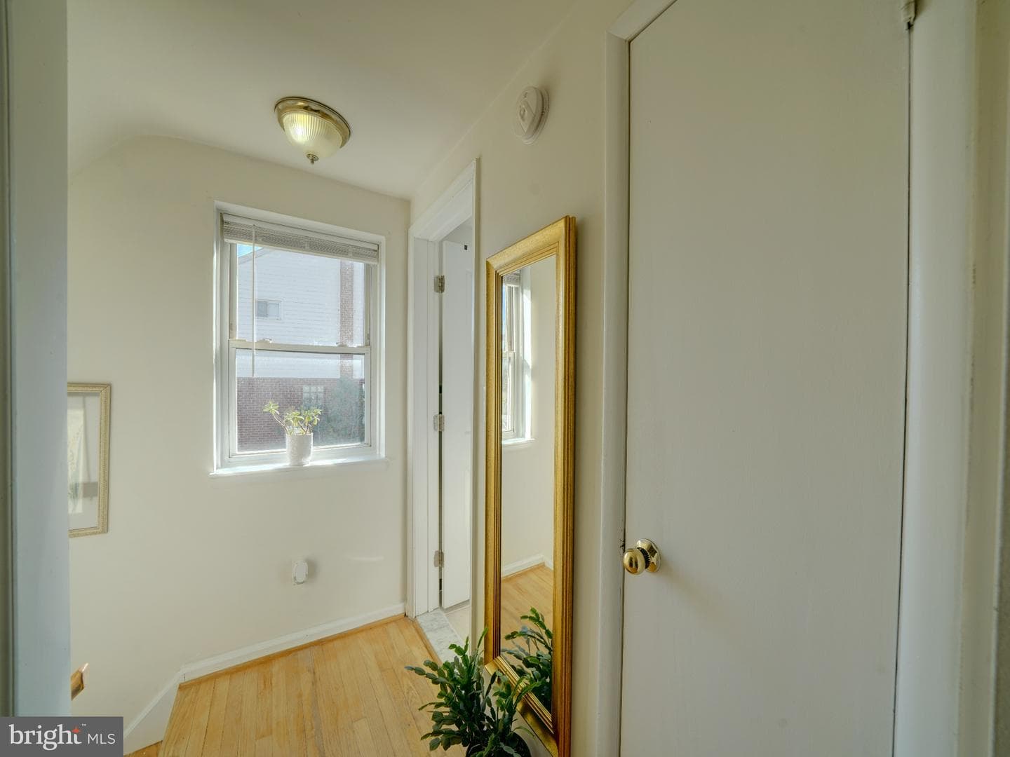 8204 Analee Avenue photo 39