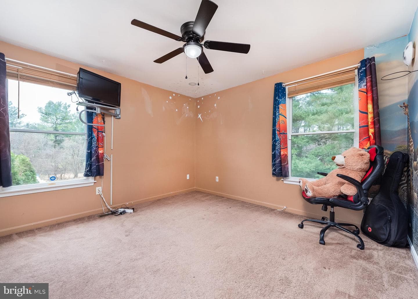 316 Delight Meadows Road photo 13