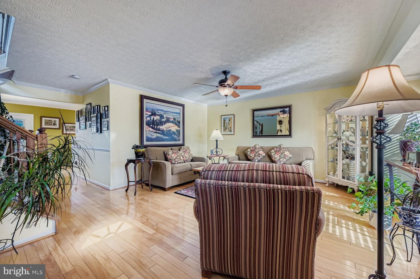 49 Merino Court photo 4