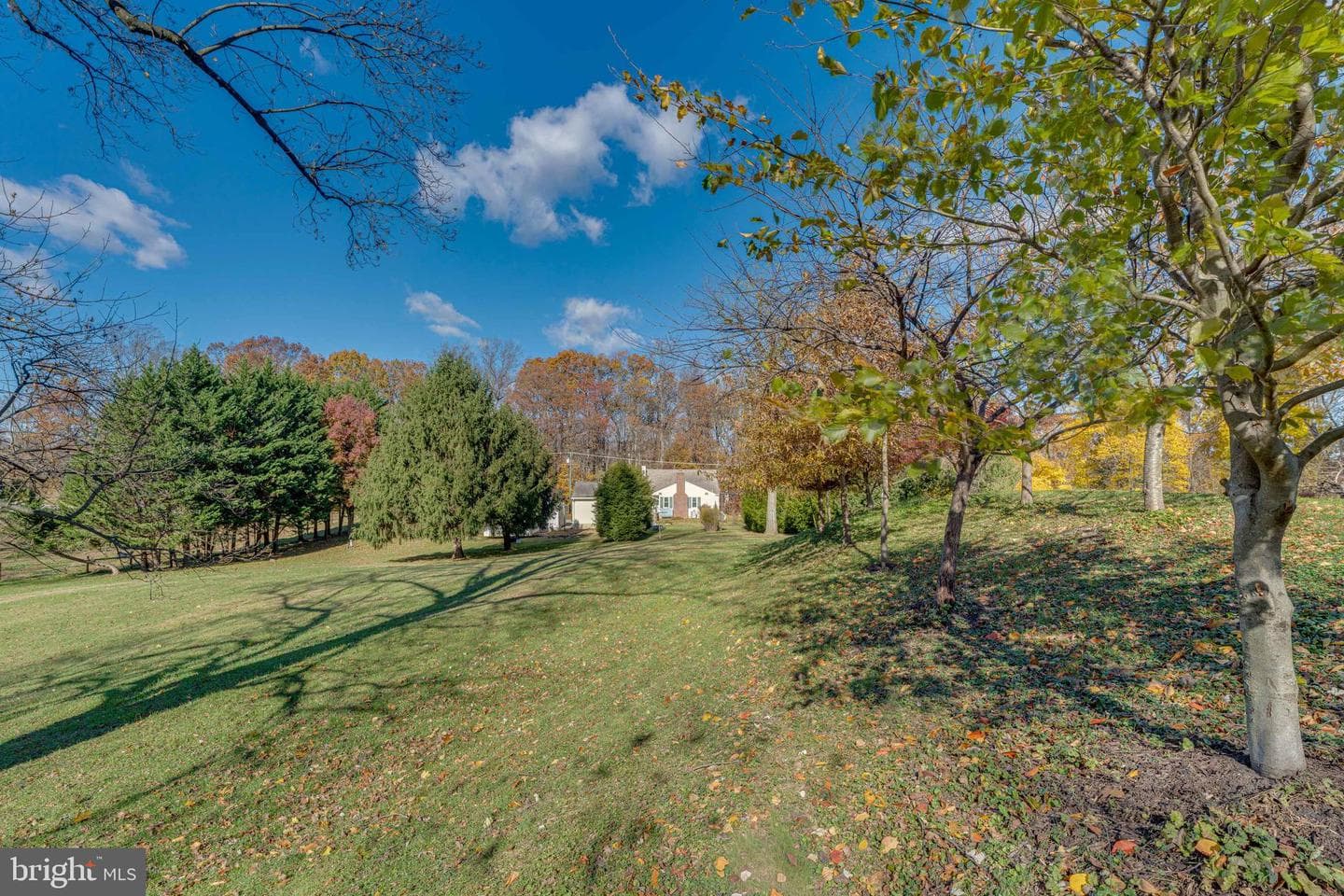 9721 Old Court Road photo 22