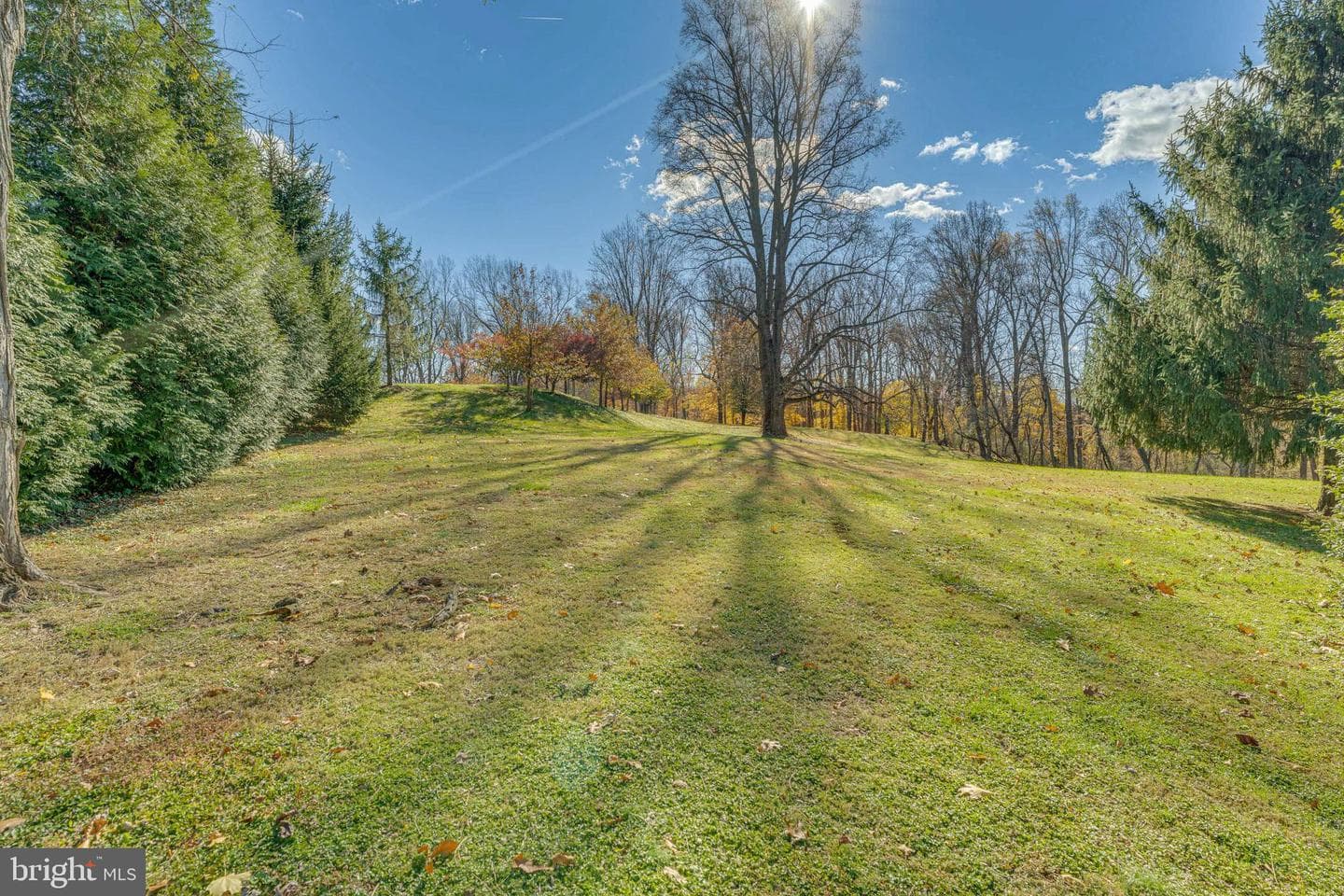 9721 Old Court Road photo 24