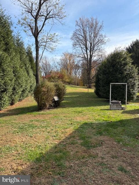 9721 Old Court Road photo 6