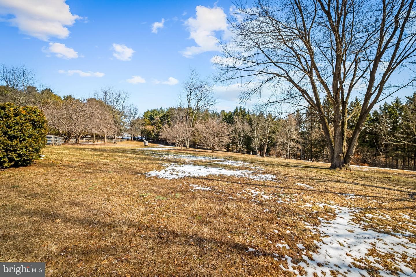 21228 Millers Mill Road photo 17