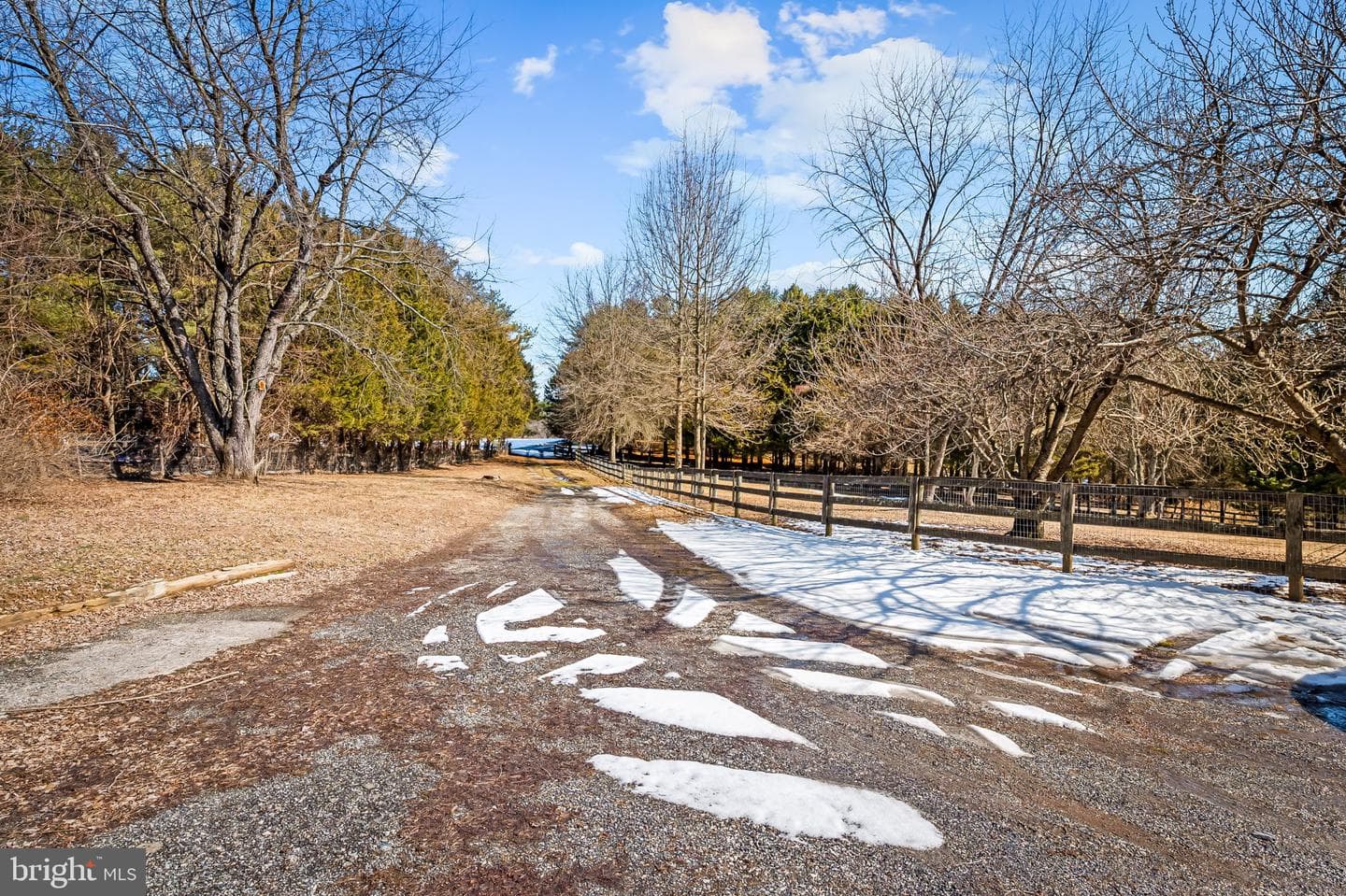 21228 Millers Mill Road photo 18