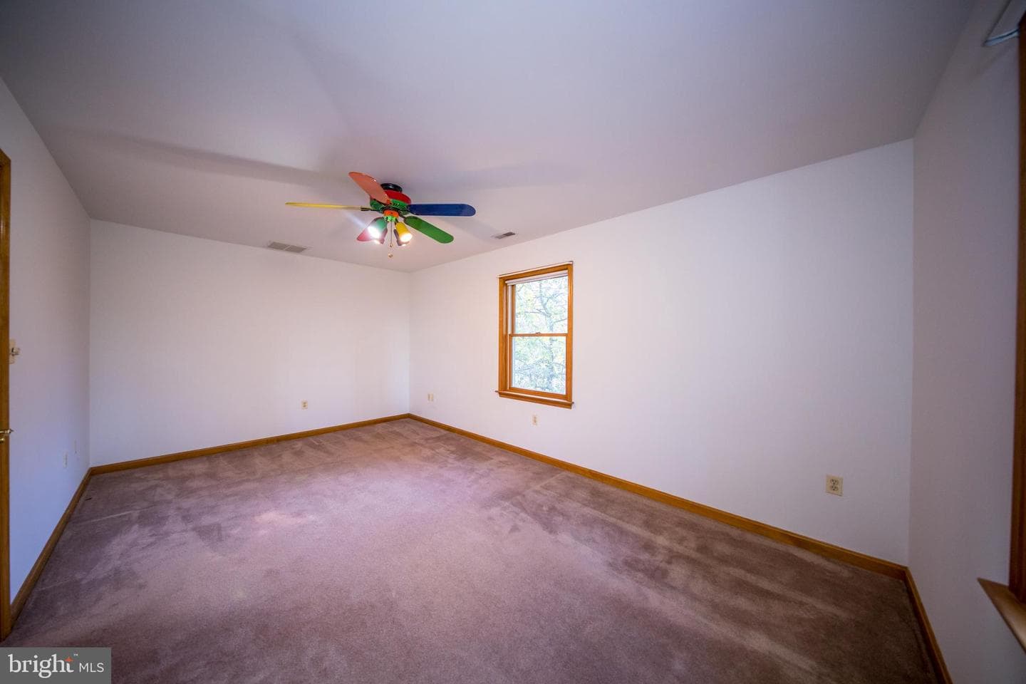 20 Glade Avenue photo 19