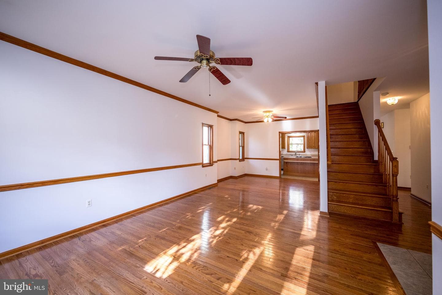 20 Glade Avenue photo 4