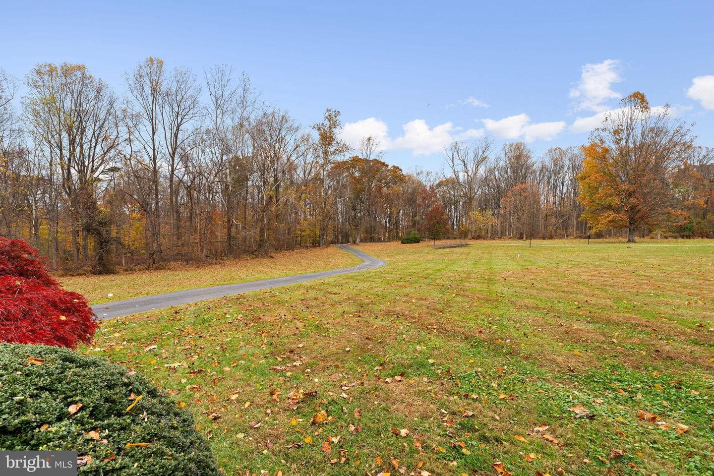 11 Glenberry Court photo 8