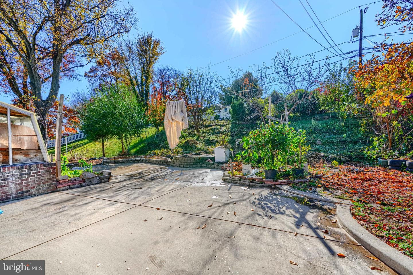8316 Analee Avenue photo 42