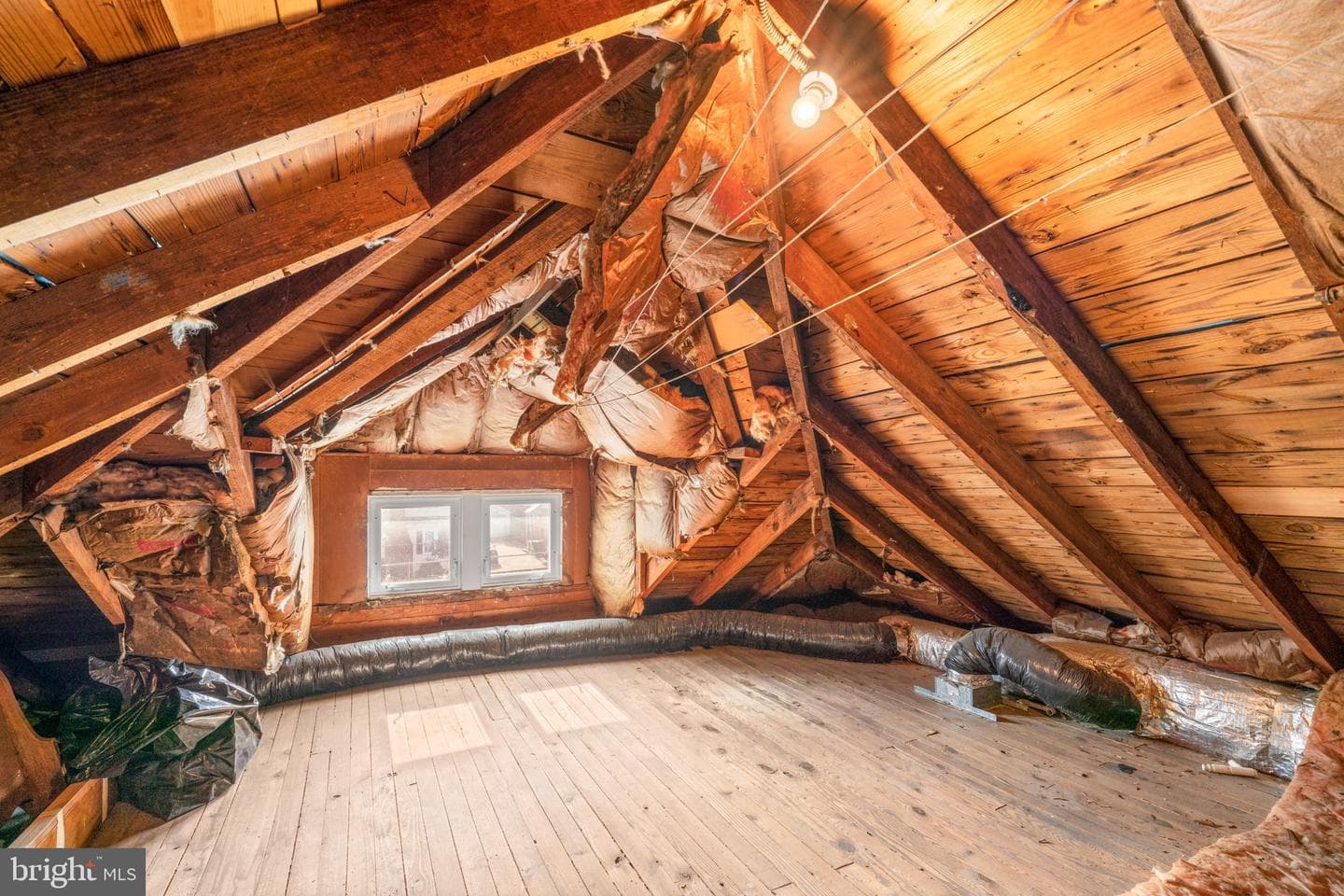 112 Burke Avenue photo 49