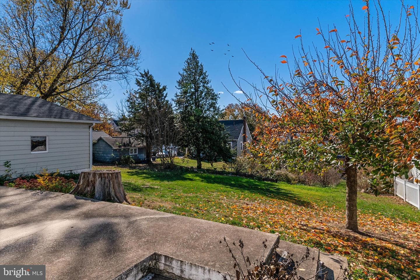 1810 Arbutus Avenue photo 42