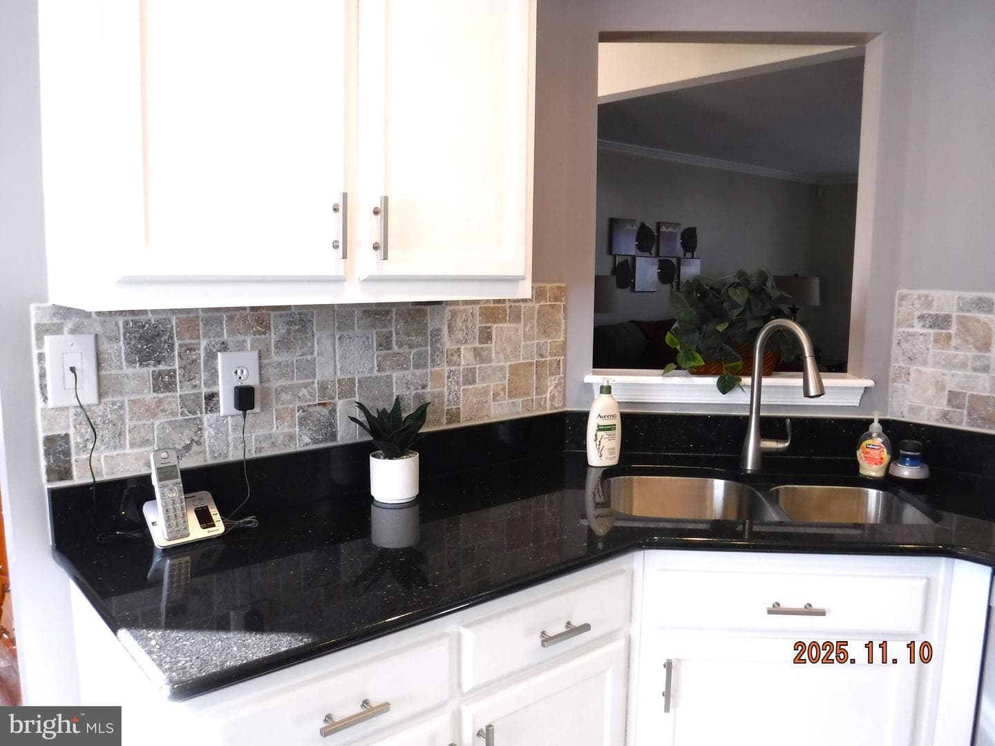 8918 Whitetail Court photo 32