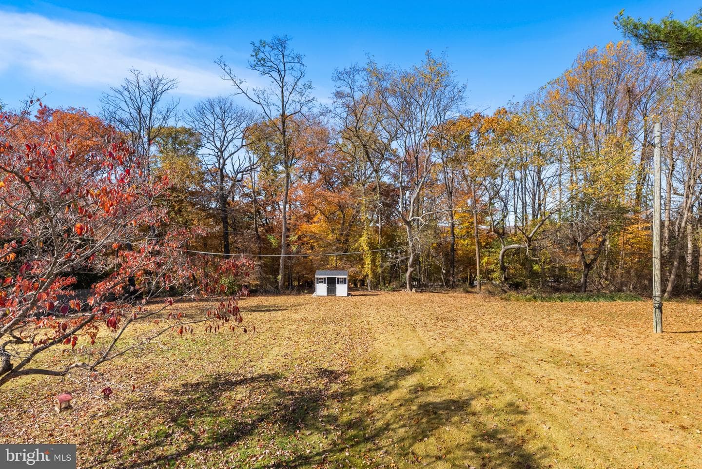 9504 Buckhorn Road photo 42