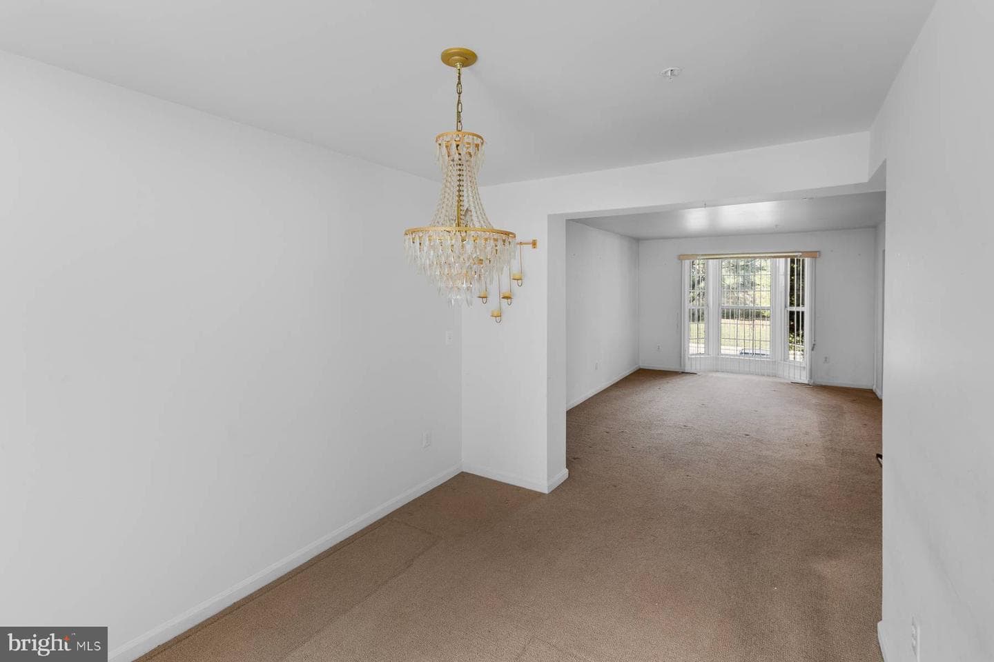 7527 Maury photo 17