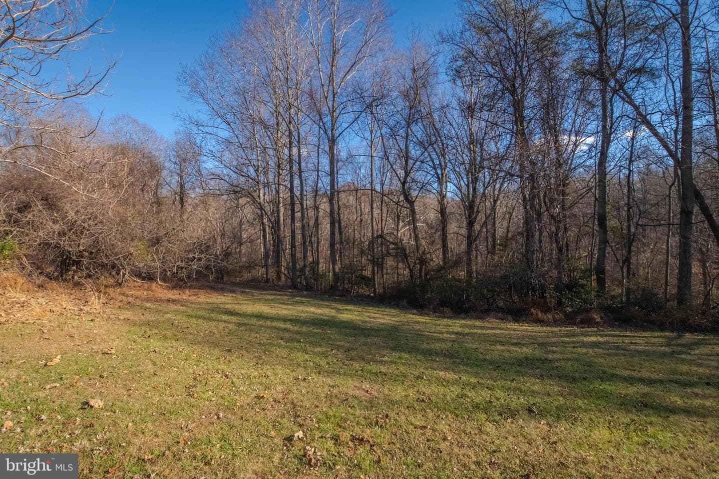 10645 Davis Avenue photo 37
