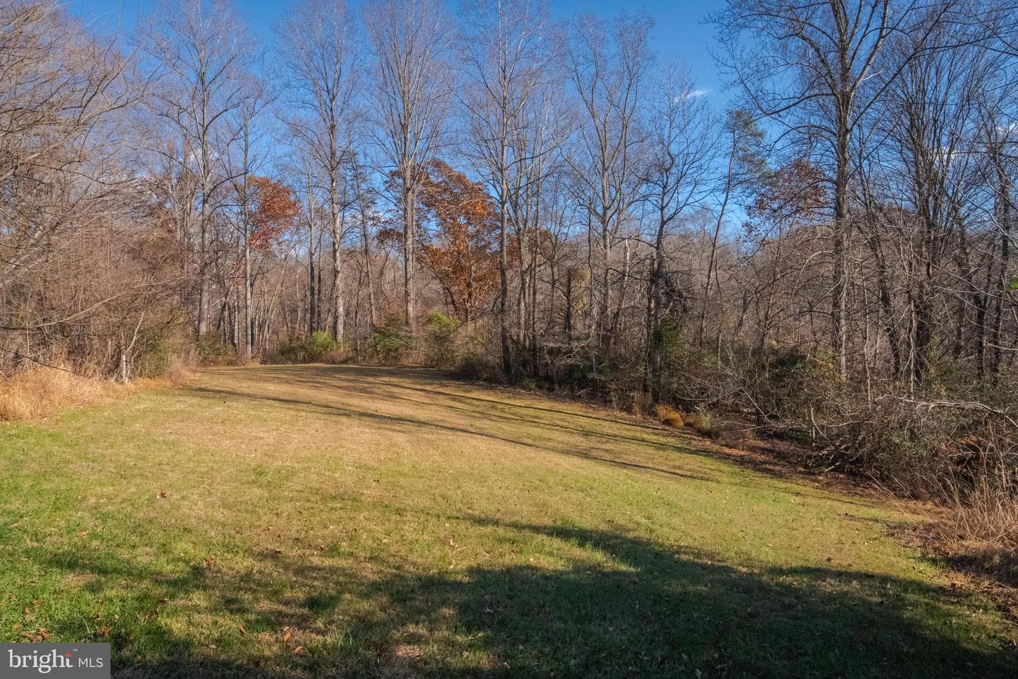10645 Davis Avenue photo 6