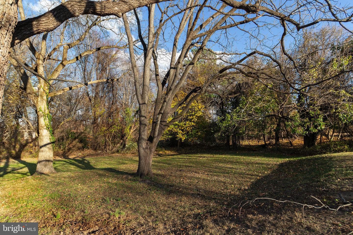4508 Ridge Road photo 28