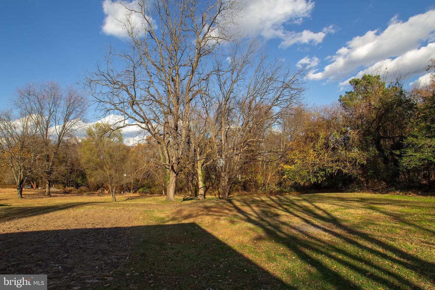 4508 Ridge Road photo 5