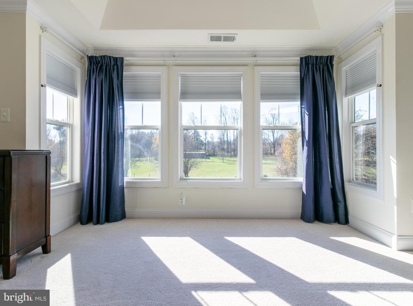 10719 Old Court Road photo 21