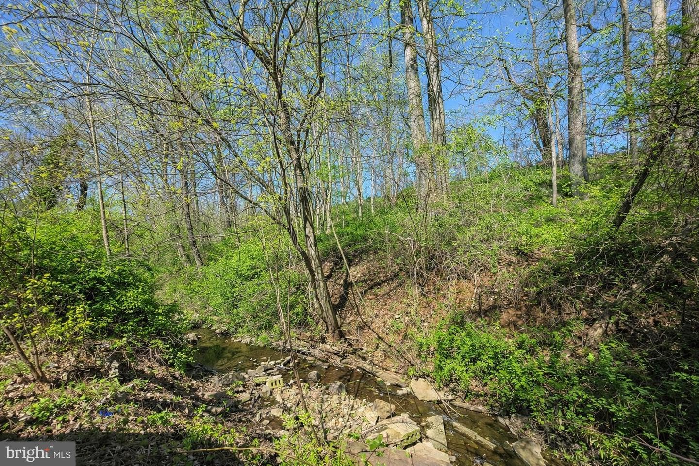 9906 Belair Road photo 56