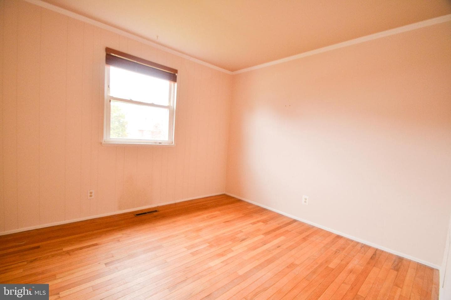 120 Lamport Road photo 13