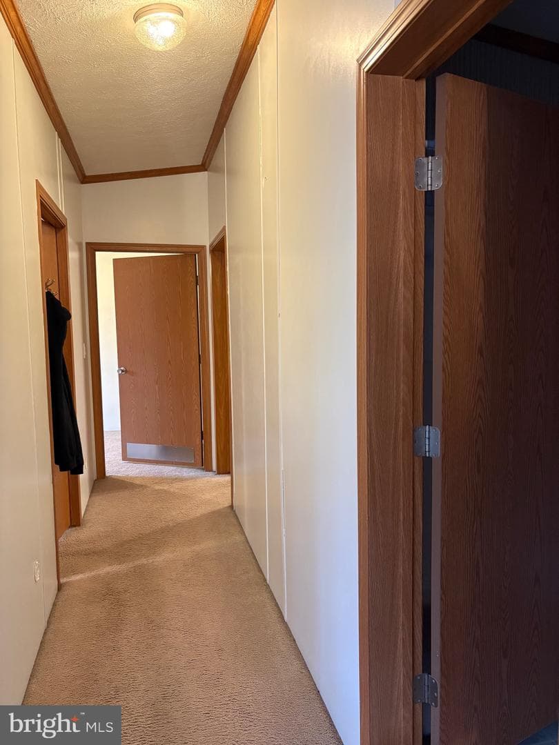 3606 Wheelhouse Road photo 14