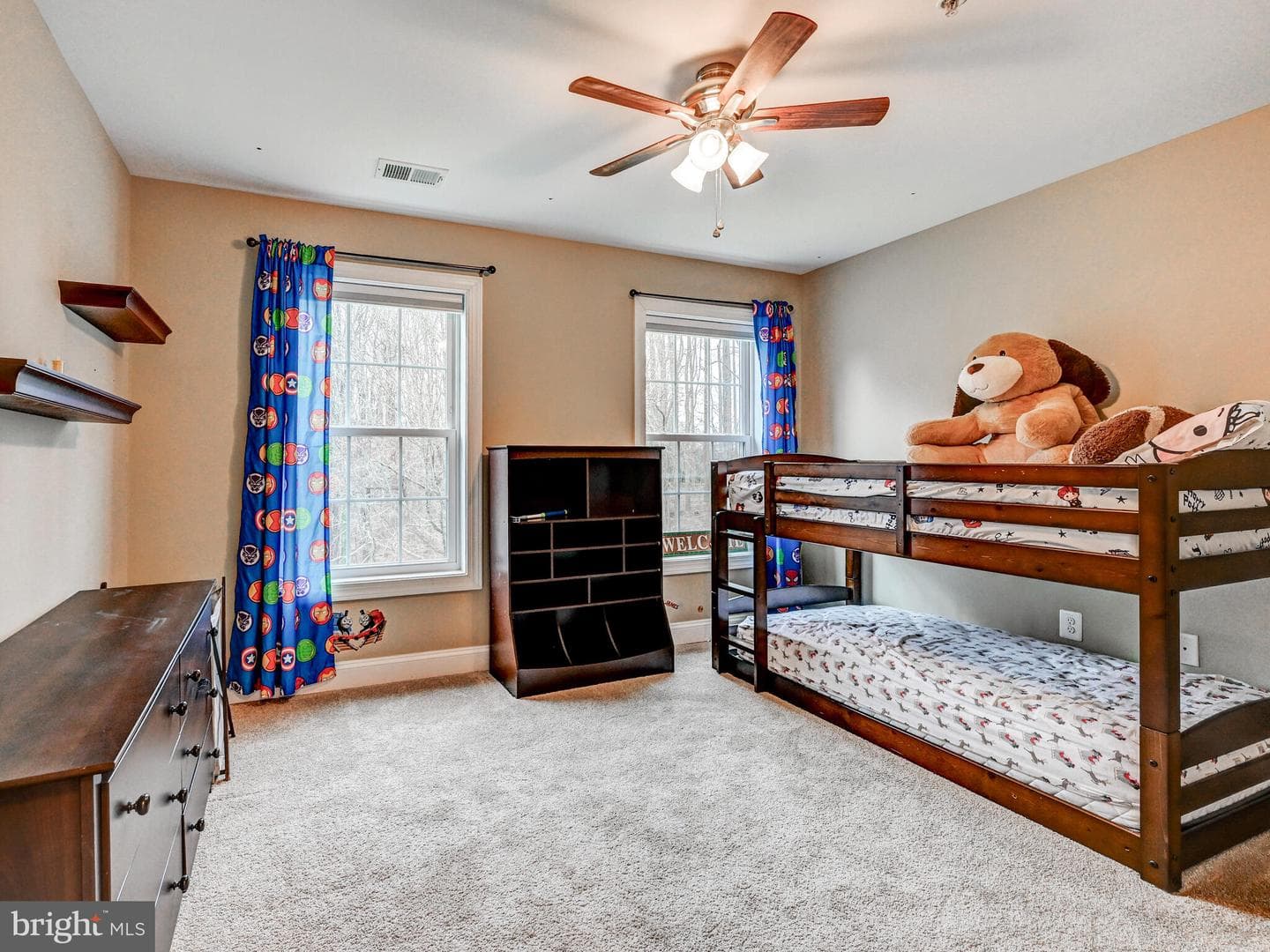 11707 Manor Road photo 27
