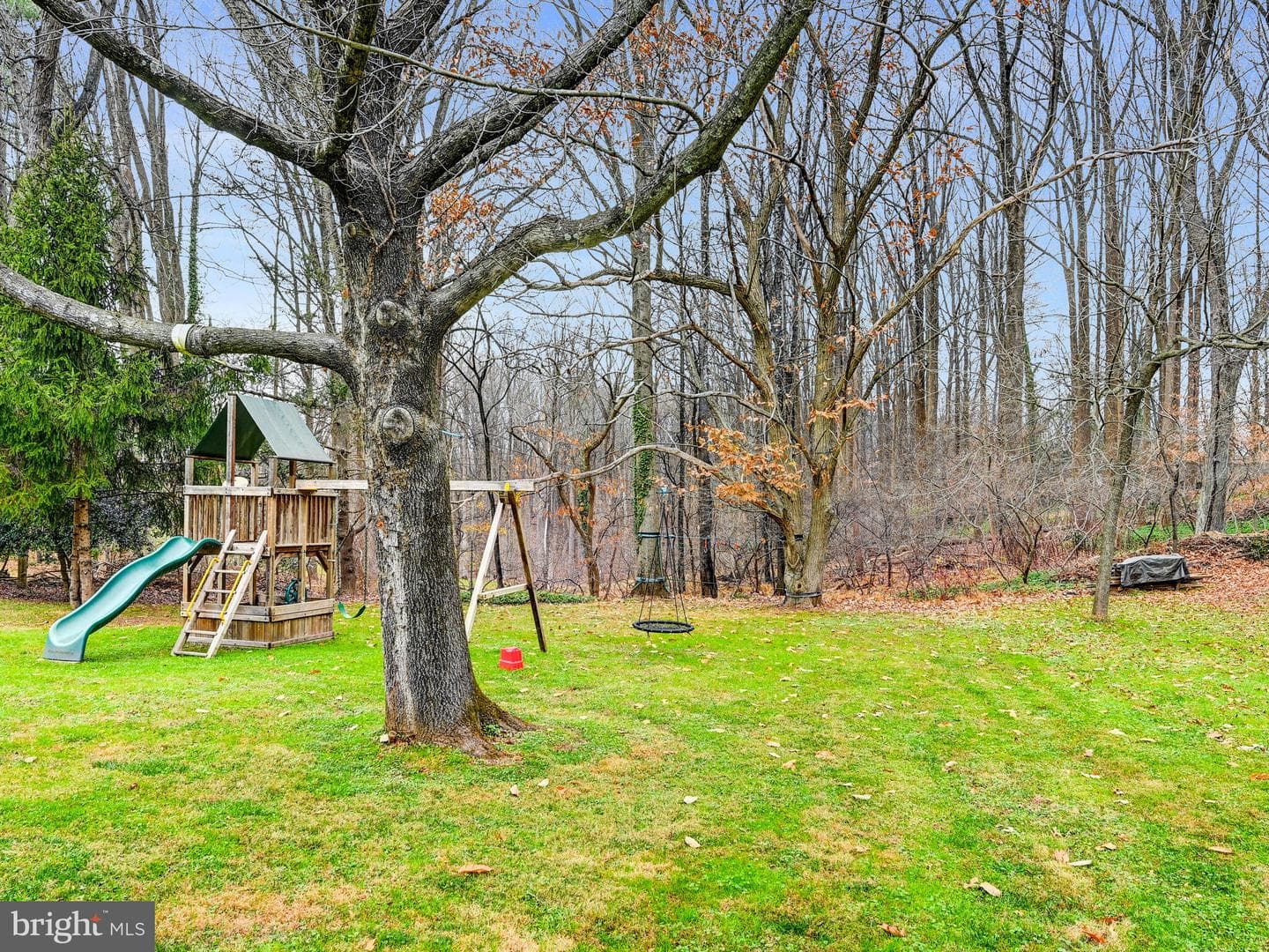 11707 Manor Road photo 42